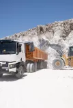 truck bois